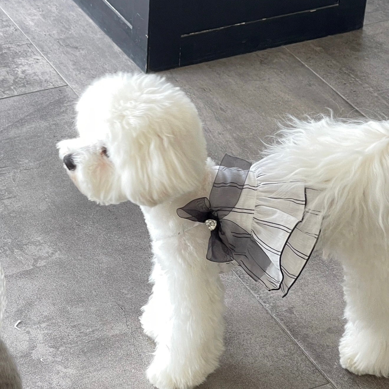 Autumn Bless Monochrome Stripe Camisole Dress with Chic Black Ribbon Bow