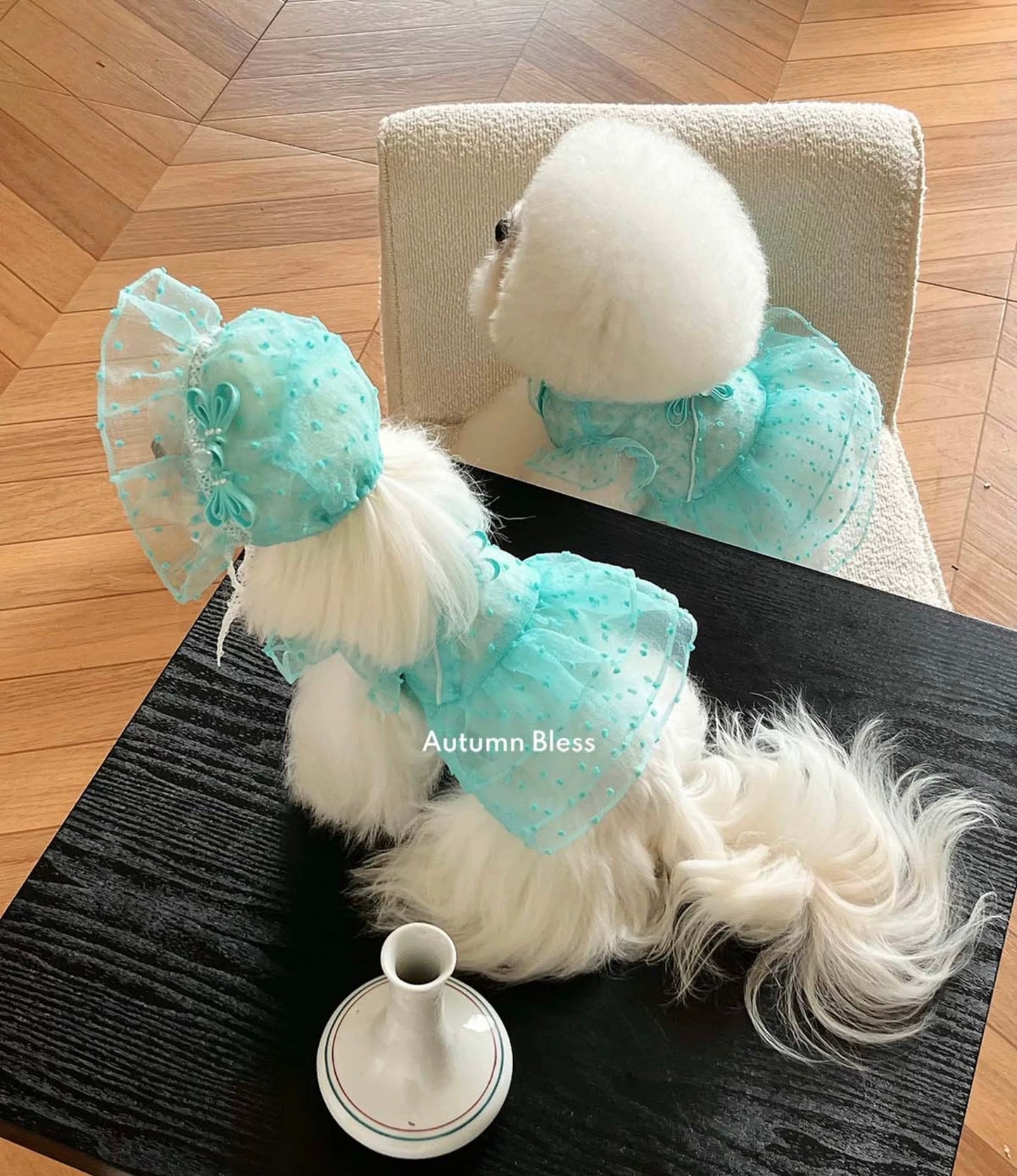 Autumn Bless Dotted Tulle Lace Dress