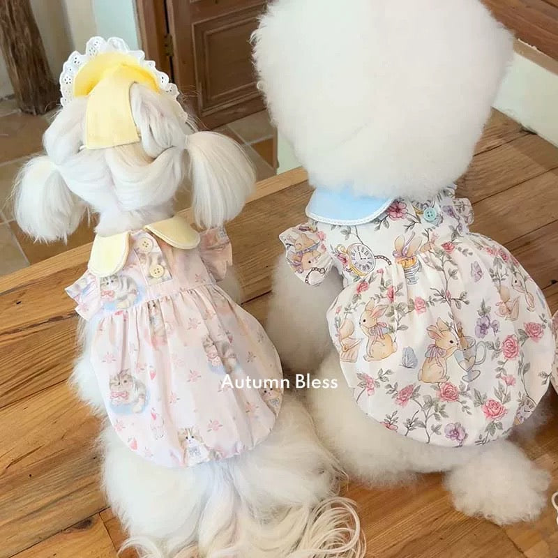 Autumn Bless Alice Garden Round Collar Pumpkin Dress | Alice Garden Peter Pan Collar Pumpkin Dress