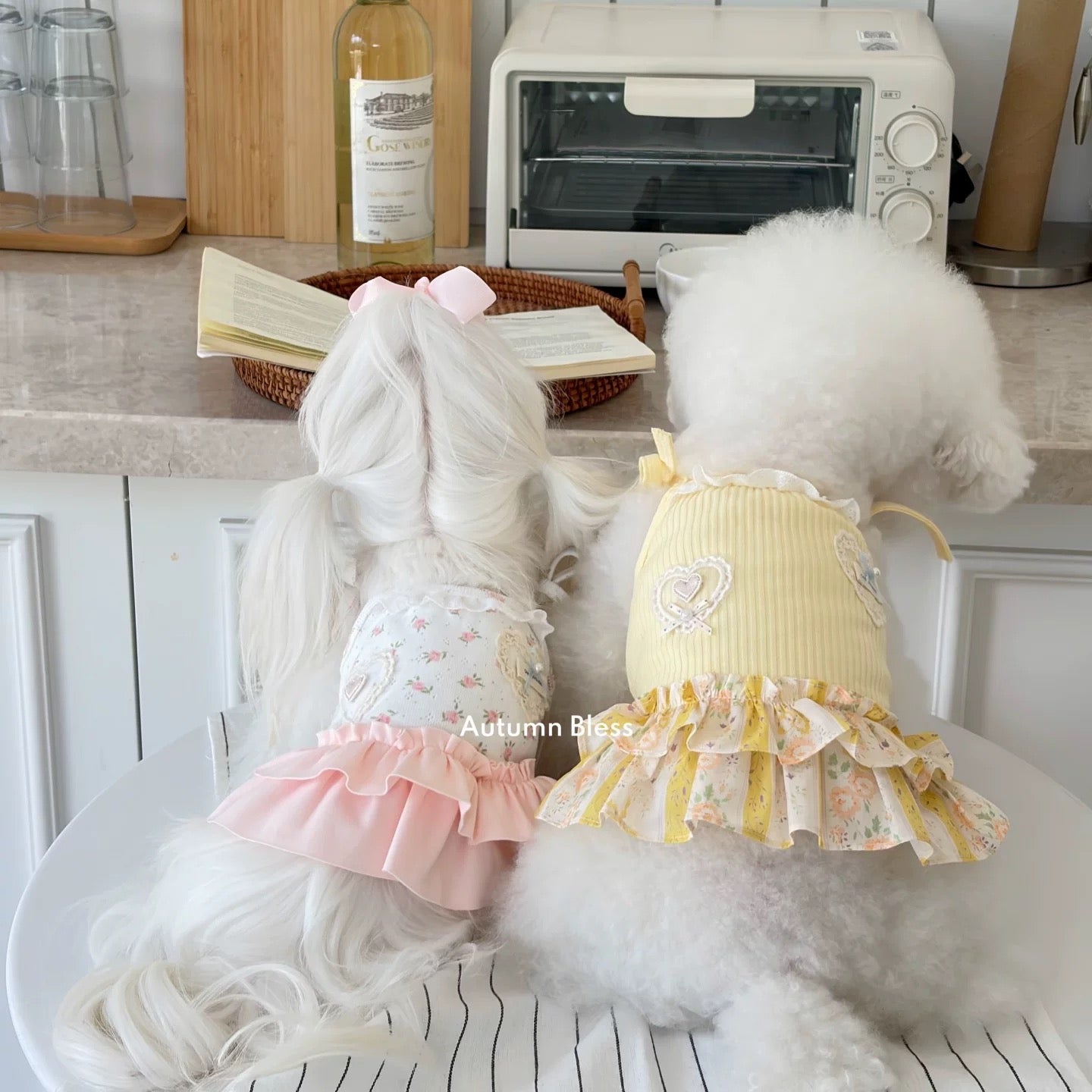 Autumn Bless Blossom Garden Dress | Floral Ruffle Dress for Small Dogs