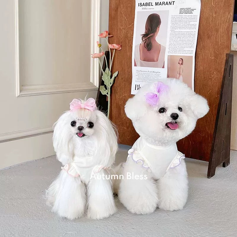 Autumn Bless Tencel Ribbon Embroidered Frill T-shirt with Ribbon 