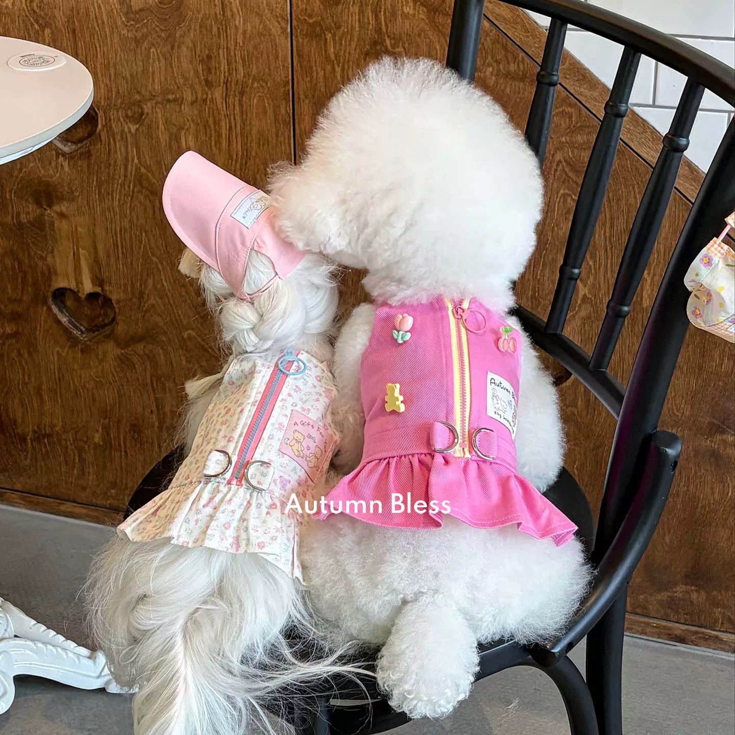 Autumn Bless Harness Dress | Back Zipper - Dog Wear for Small Dogs