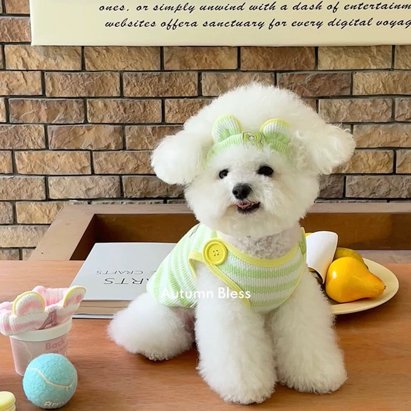 Autumn Bless Candy Button Knit Vest 