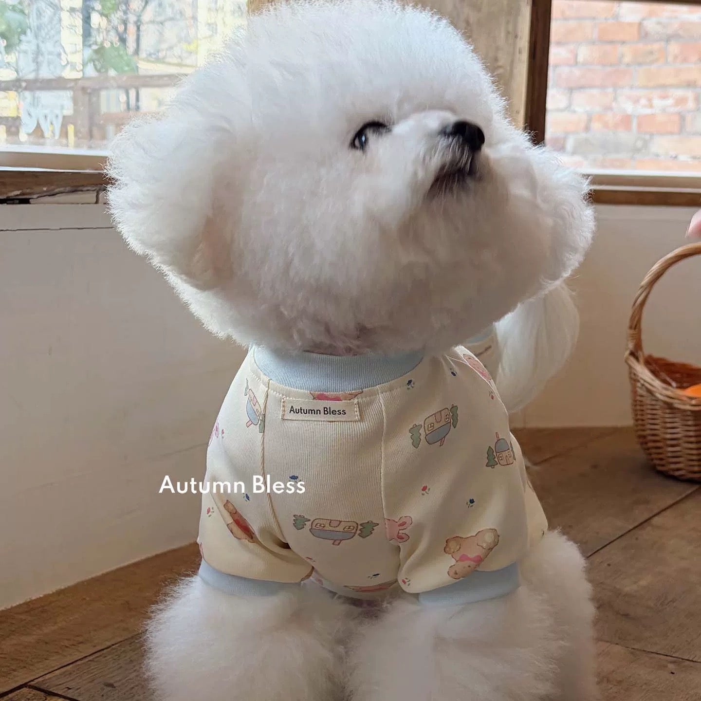 Autumn Bless Bear Print Soft Top