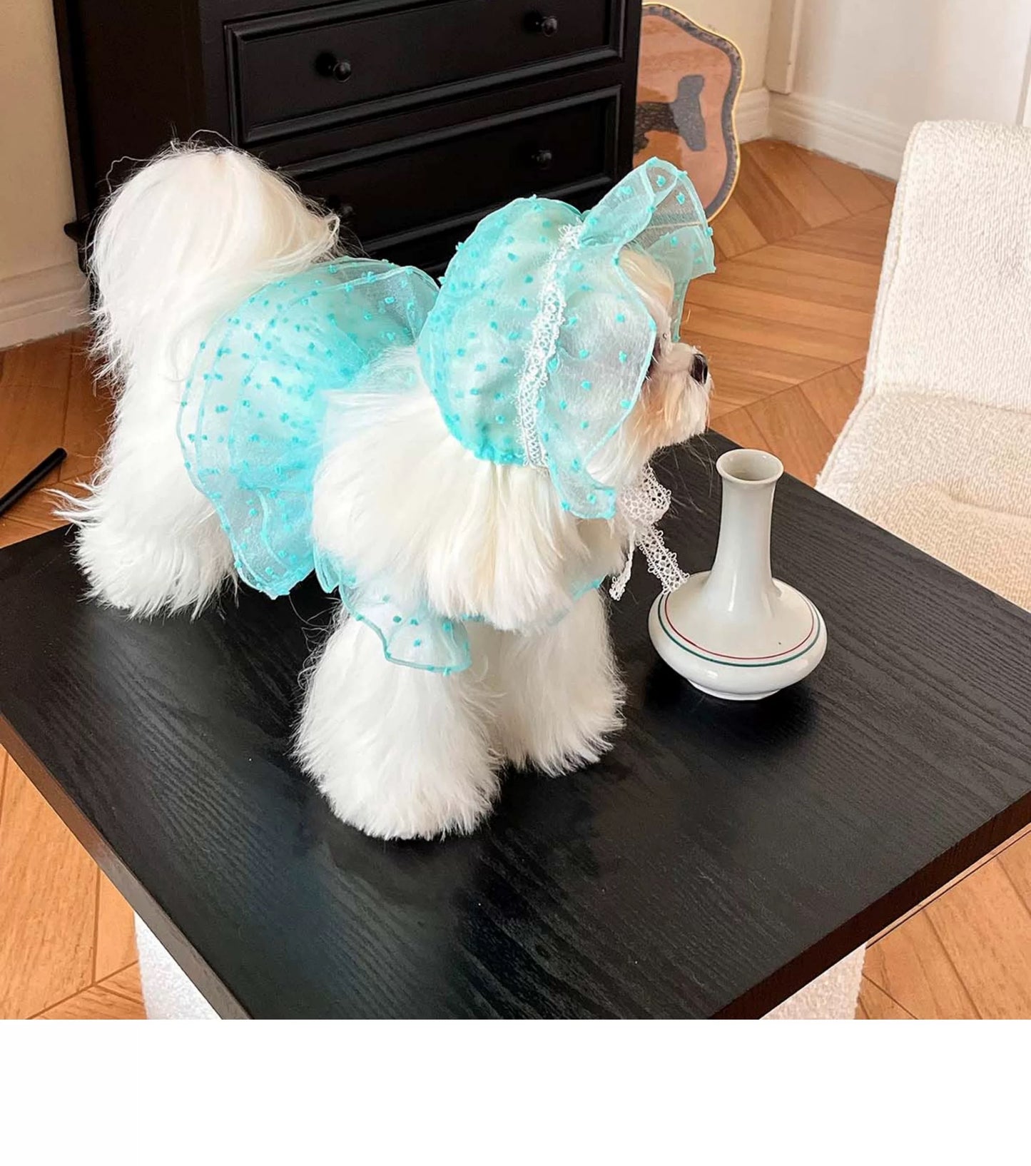 Autumn Bless Dotted Tulle Lace Dress 