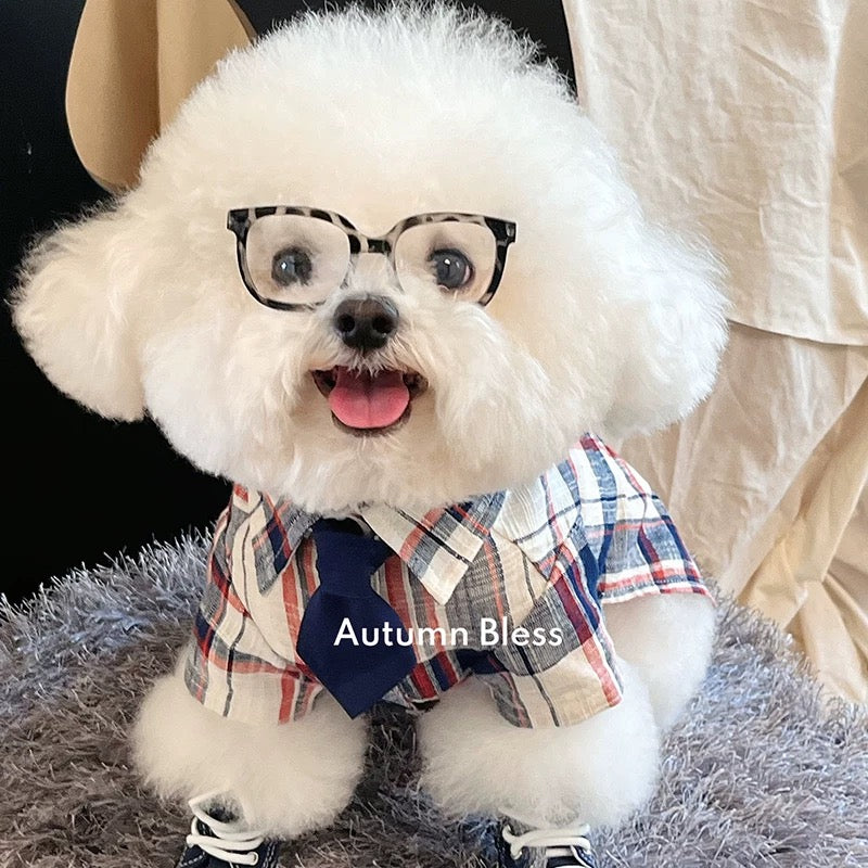 Autumn Bless Stylish cotton check shirt with tie | Cotton Check Shirt with Tie