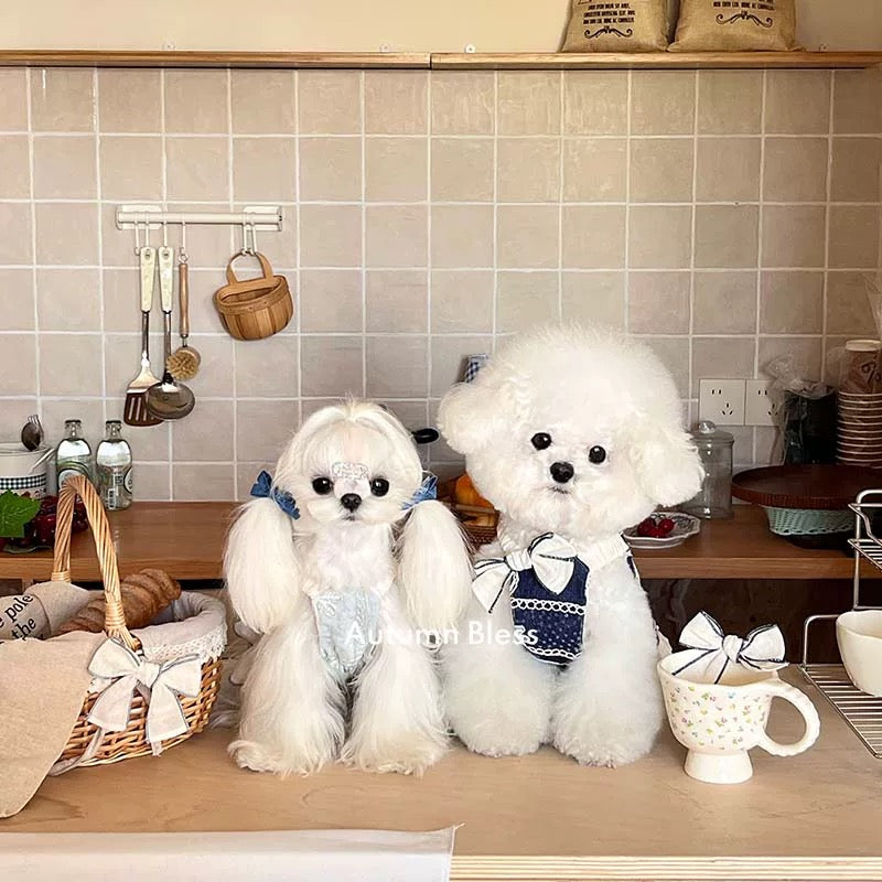 Autumn Bless Bohemian Lace Charm Dress | Bohemian Lace Charm Dress 