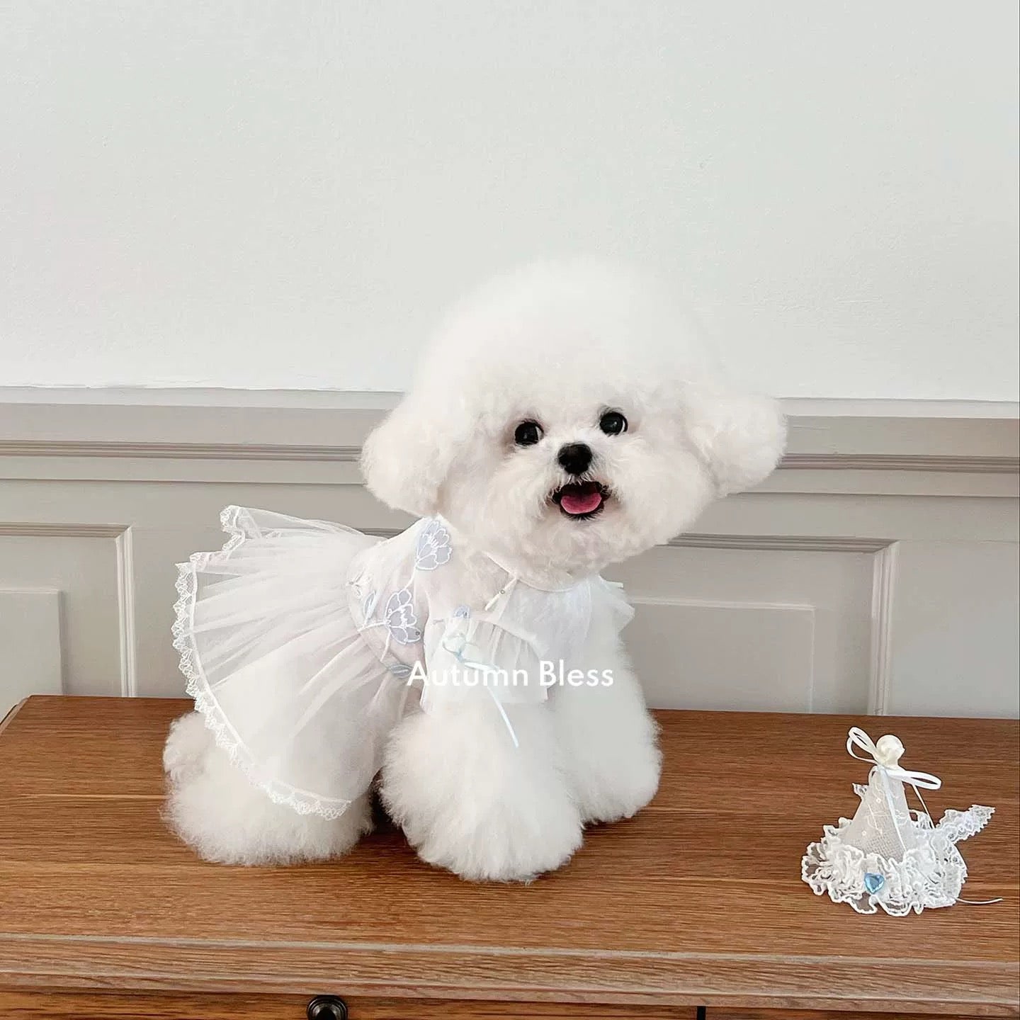 Autumn Bless Birthday Party Princess Dress | Birthday Party Princess Dress 