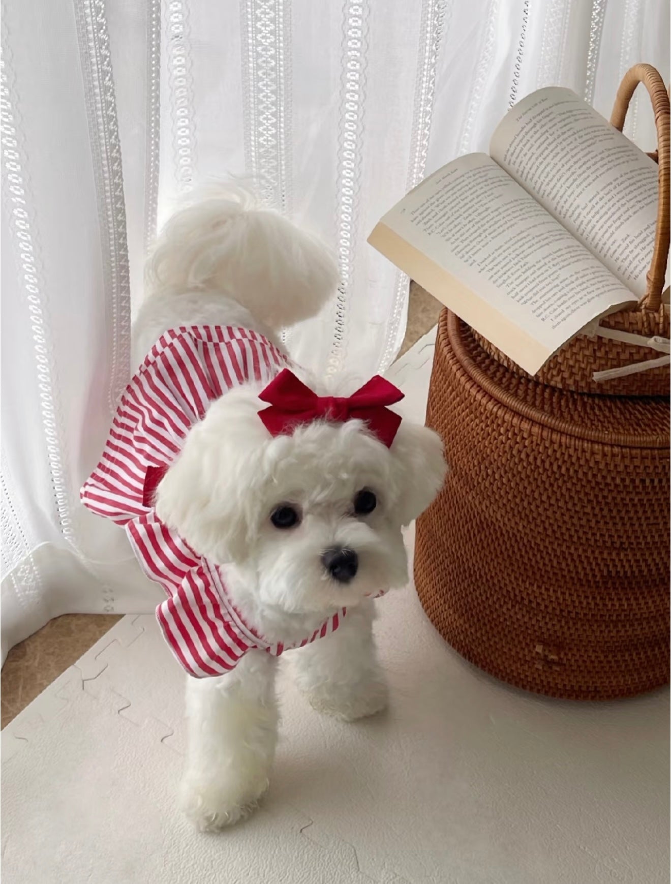 Autumn Bless Preppy Ribbon Stripe Dress 