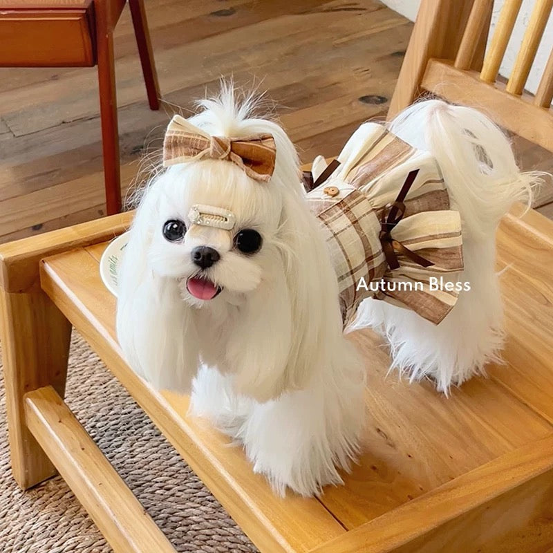 Autumn Bless Ribbon Present♪ Cotton Check Skirt | Cotton Check Skirt with Ribbon 