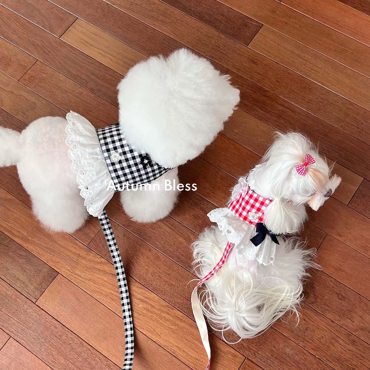 Autumn Bless Floral Checkered Lace Harness