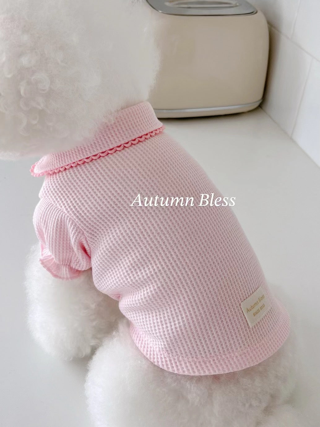 Autumn Bless Waffle Knit Dog Shirt with Collar – Soft &amp; Lightweight Pet Top 