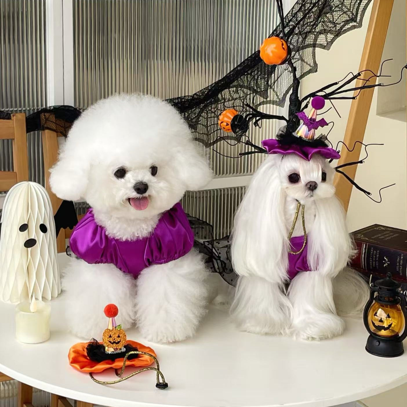 Autumn Bless Halloween Sparkle Witch Dress &amp; Hat Set | 