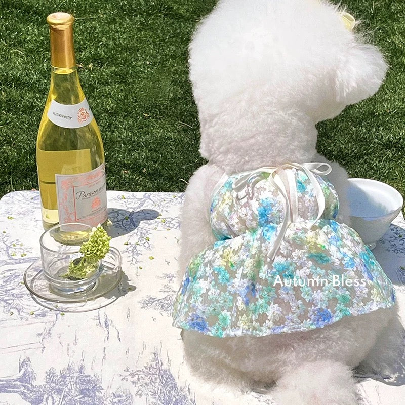 Autumn Bless Floral Lace Picnic Camisole Dress with Ribbon 