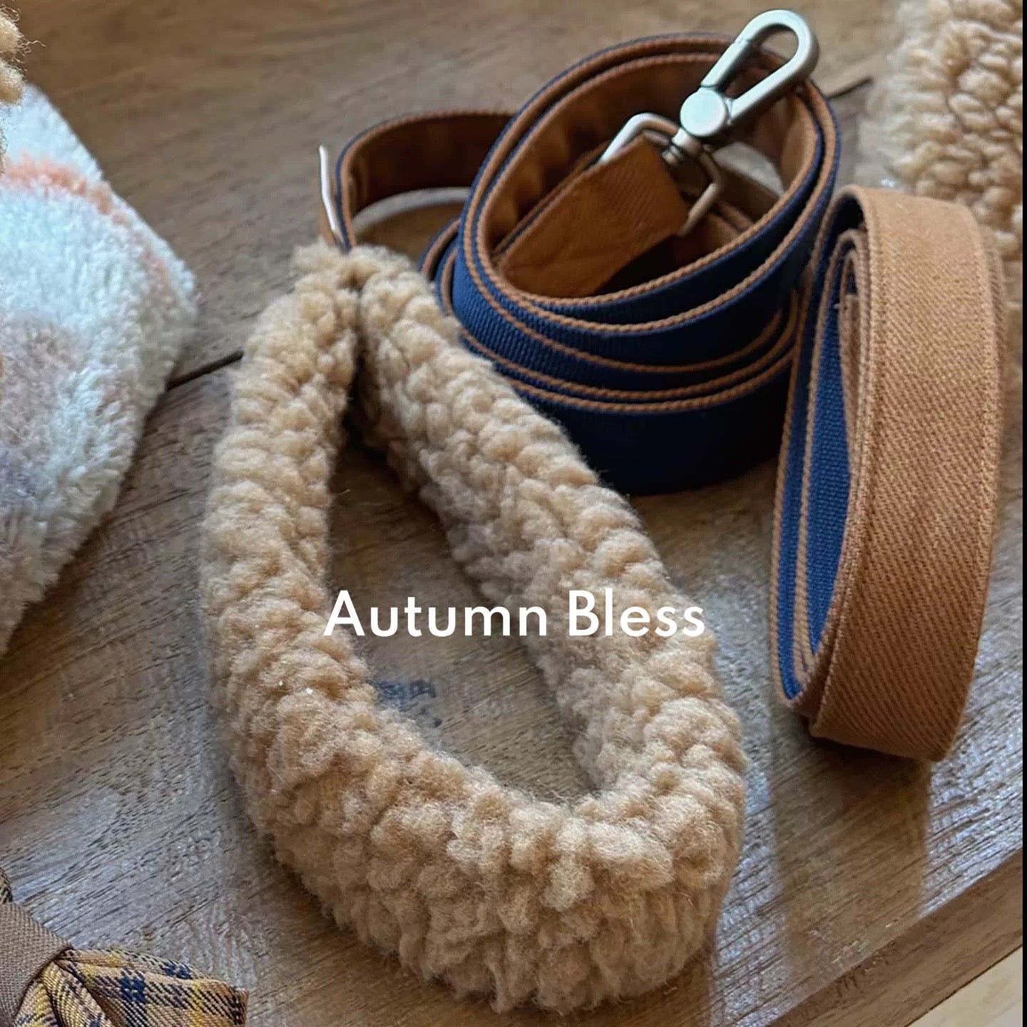 Autumn Bless Teddy Bear Sherpa Hoodie Coat