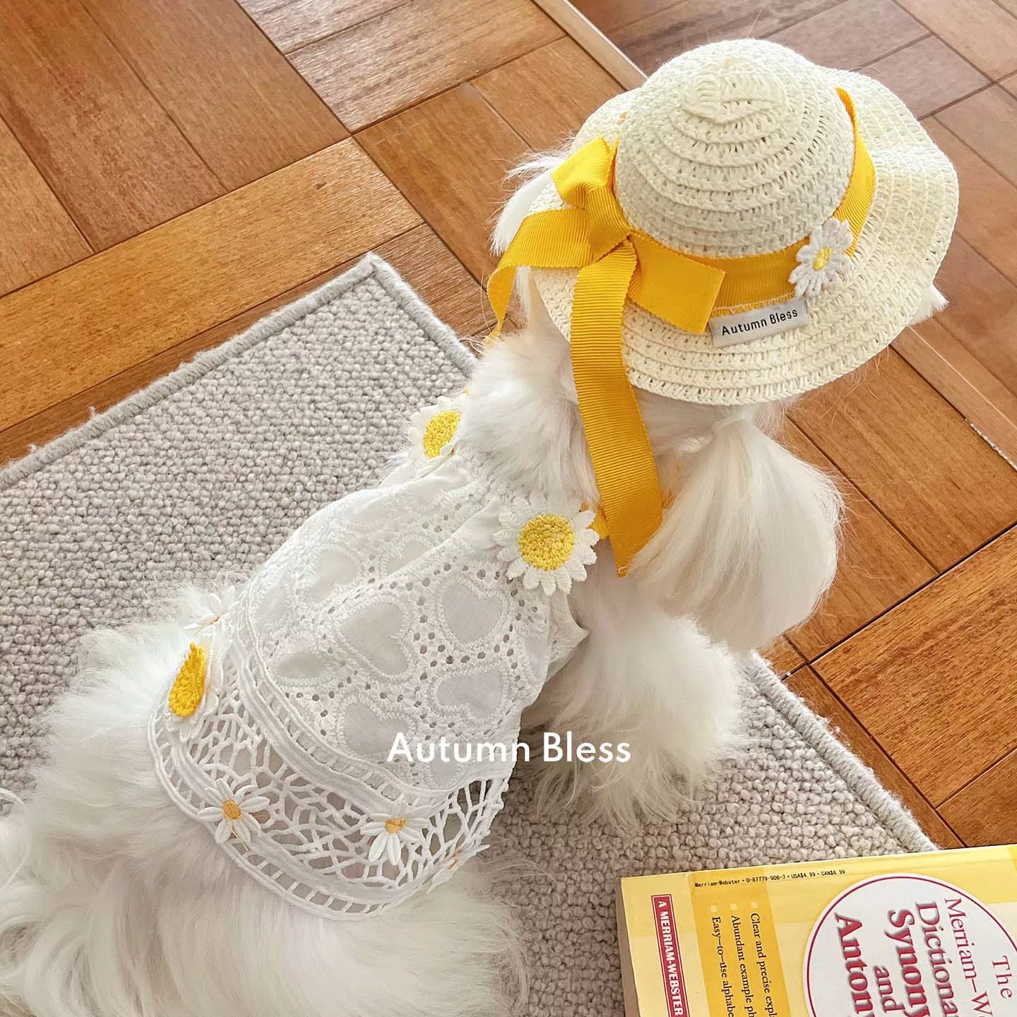 Autumn Bless Lemon Daisy &amp; Marine Picnic Dress