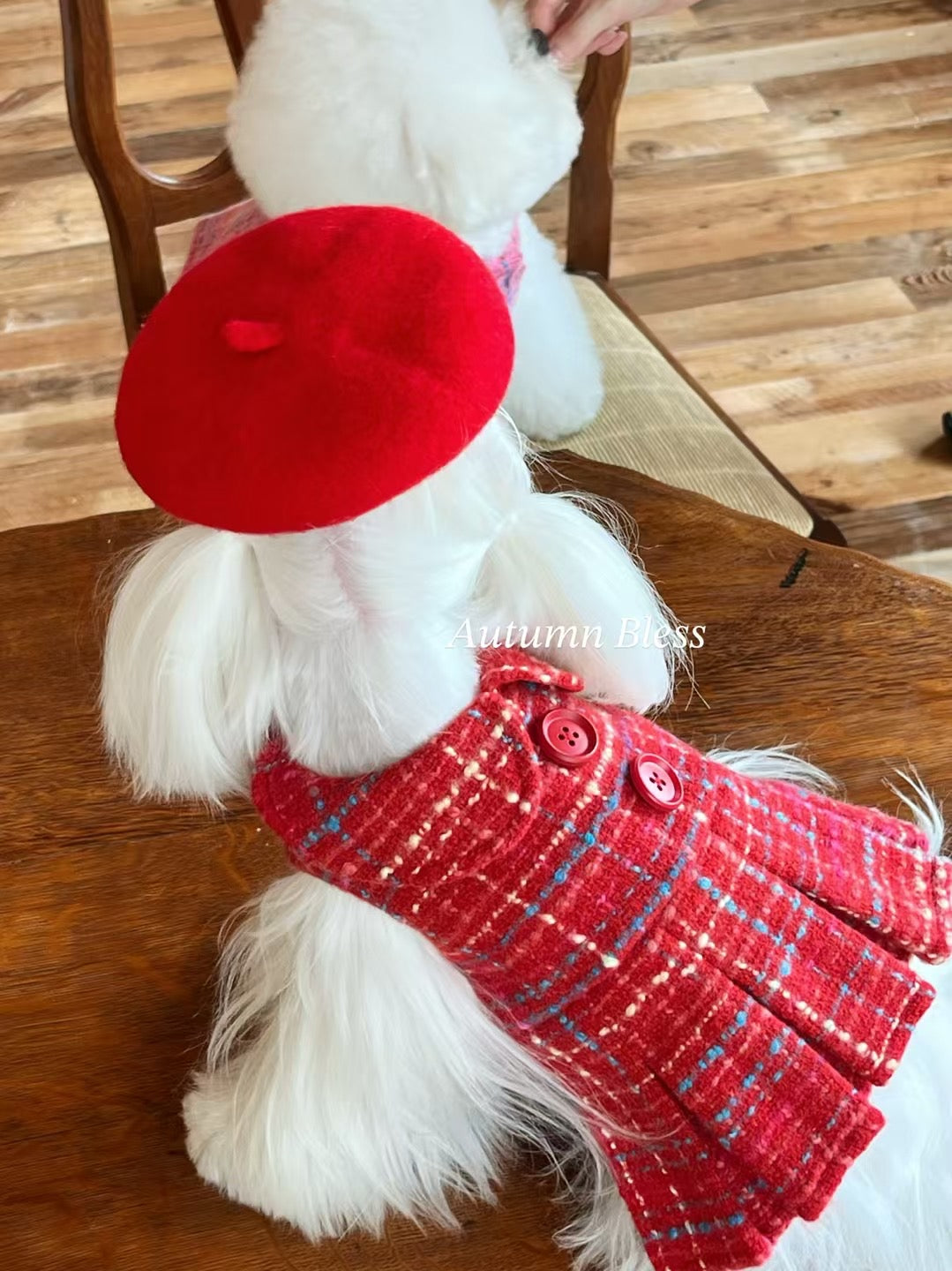 Autumn Bless Elegant Tweed Dress &amp; Beret Combo