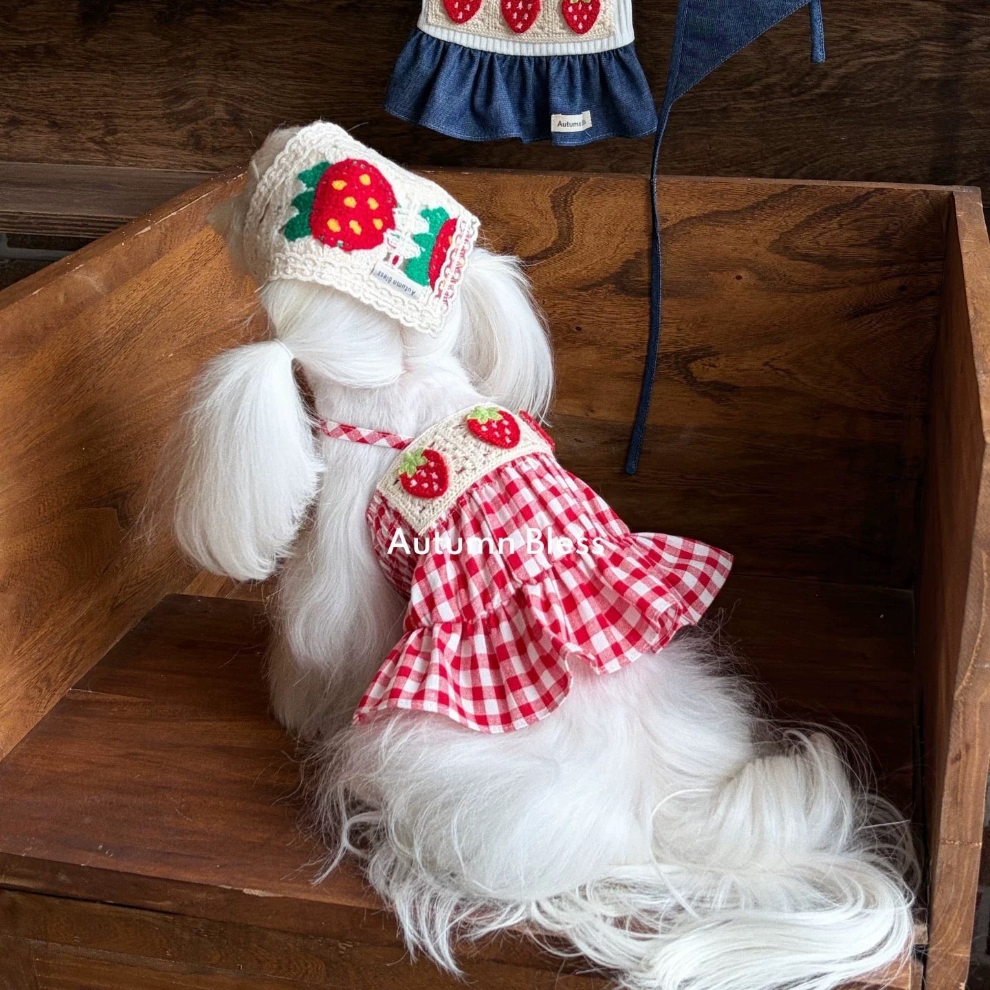 Autumn Bless Strawberry Picnic Dress