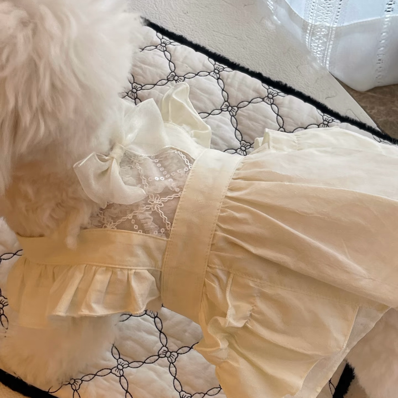 Autumn Bless White Ruffled Lace Dress 