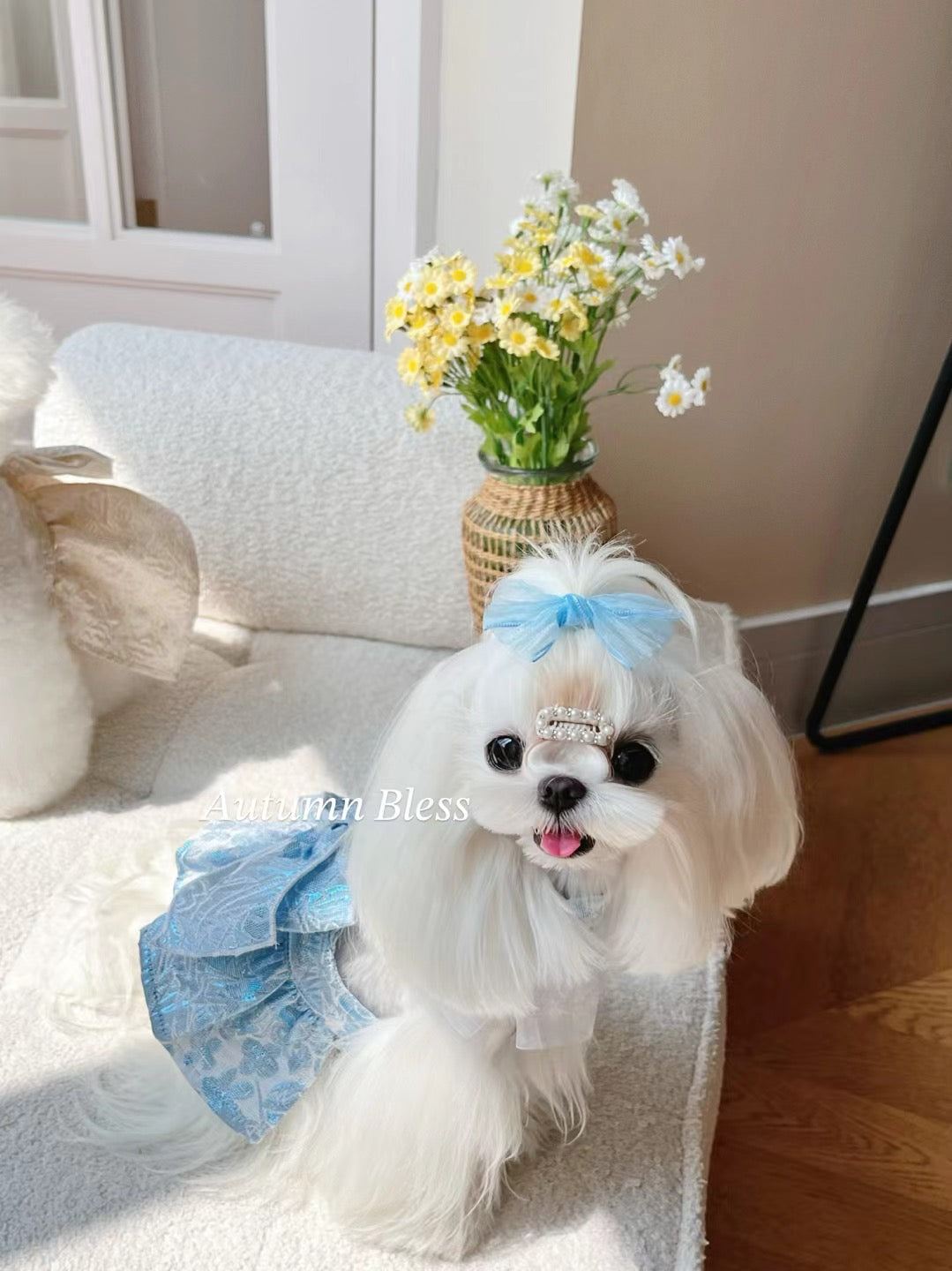 Autumn Bless Elegant Bow Harness Set for Small Dogs – Deluxe Floral Design with Ribbon 