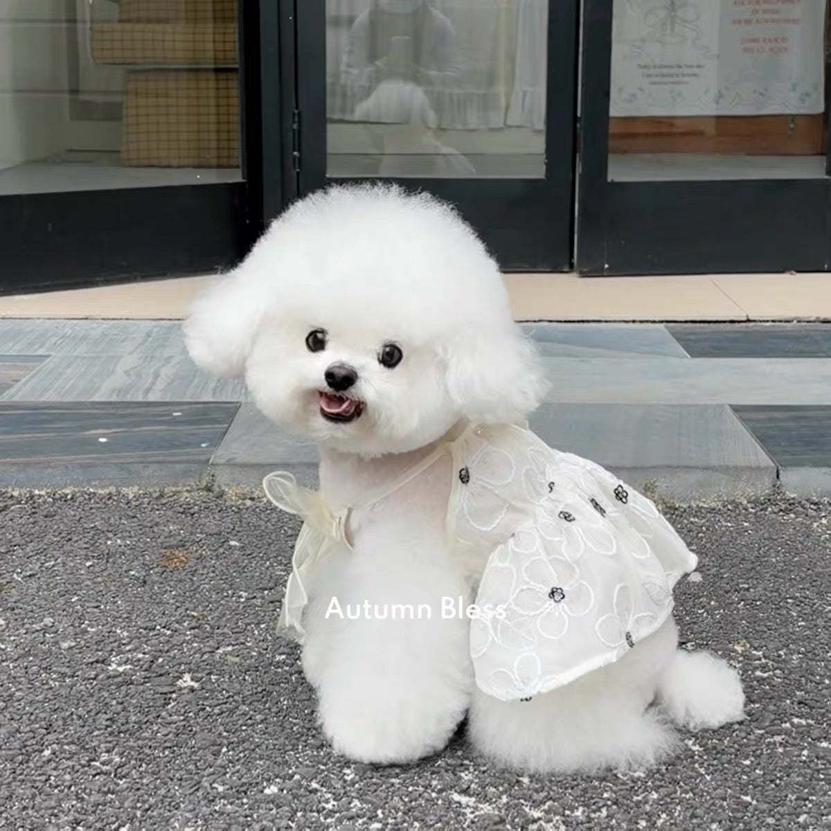 Autumn Bless Fairy Blossom Camisole Dress｜For Small Dogs Sheer