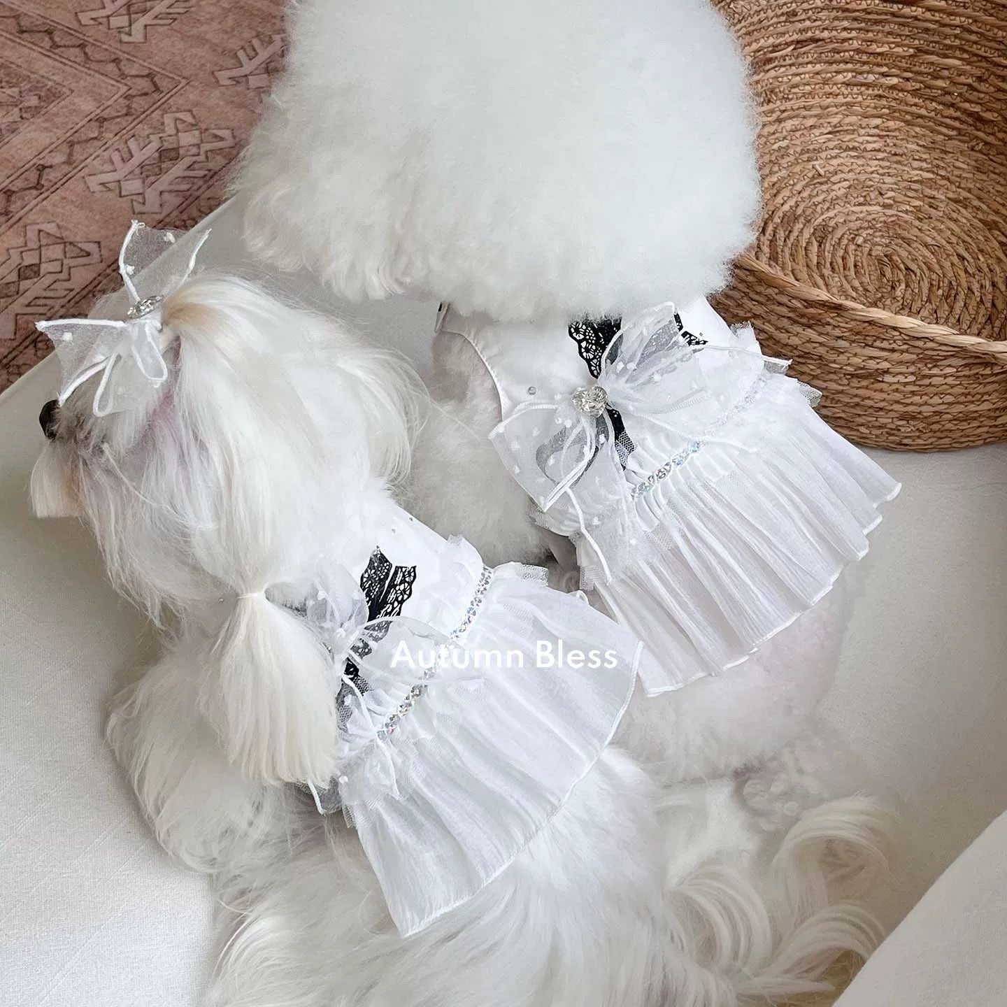 Autumn Bless [Limited Edition] White Lace Bow Harness (with hair clip)