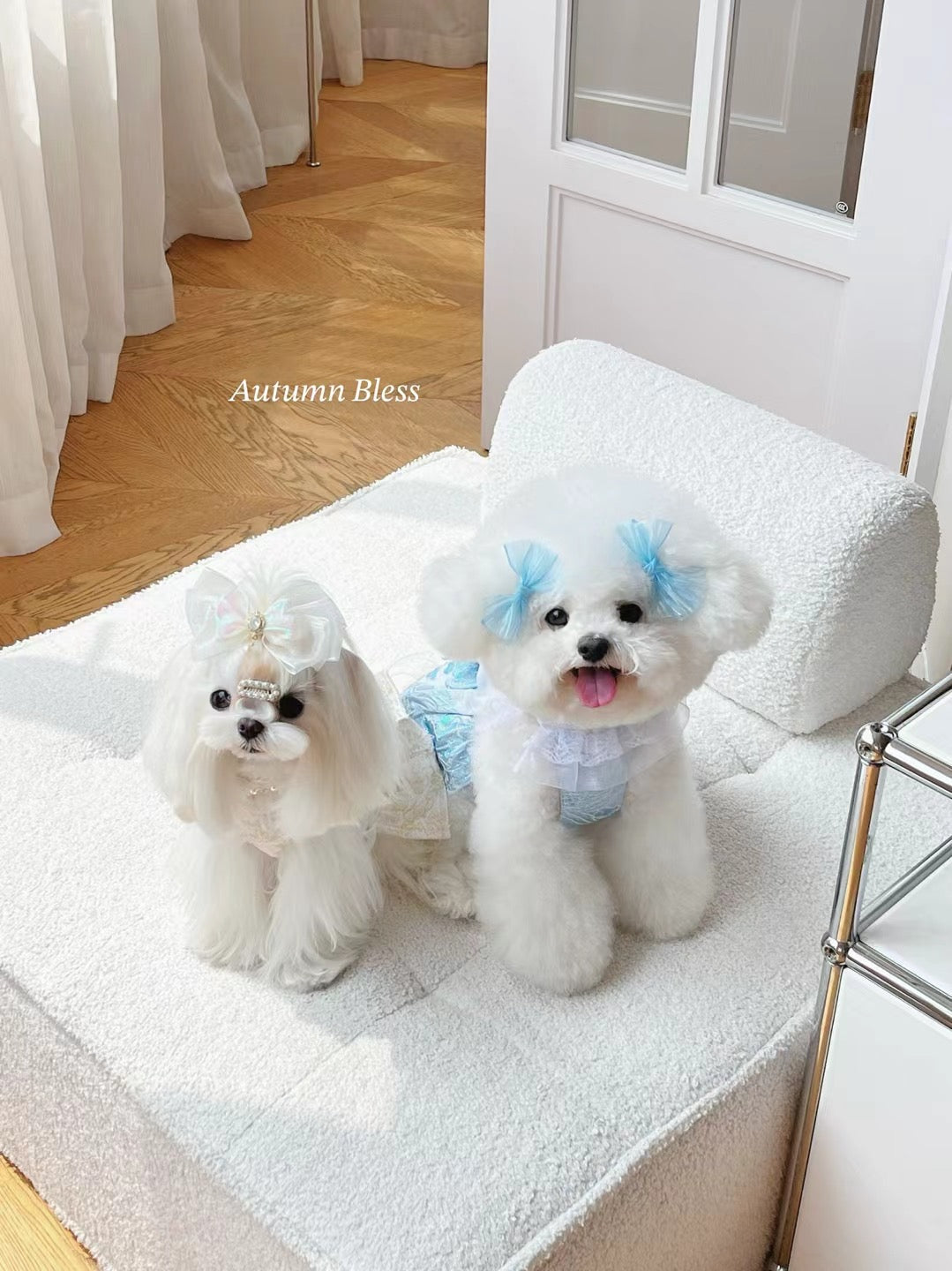 Autumn Bless Elegant Bow Harness Set for Small Dogs – Deluxe Floral Design with Ribbon 