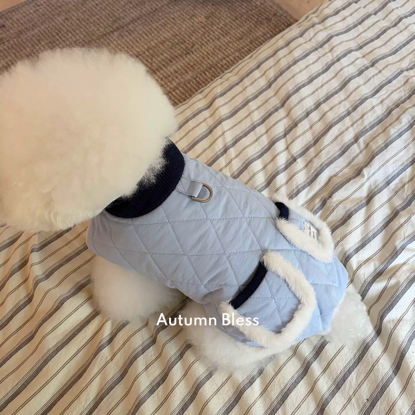 Autumn Bless Furry Cozy Winter Jacket – Teddy Print &amp; Quilted Blue