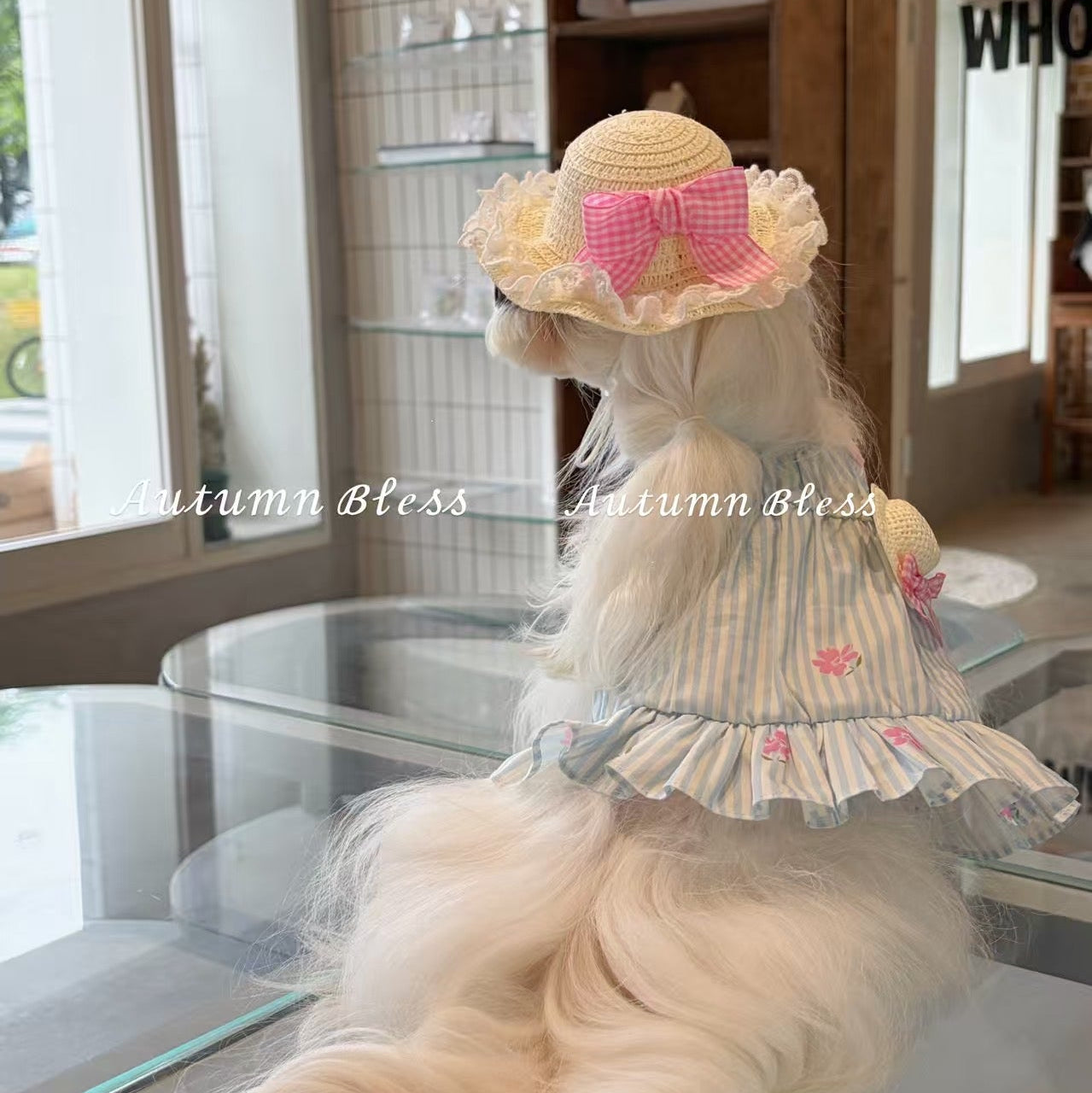 Autumn Bless Gingham Ribbon Lace Sun Hat
