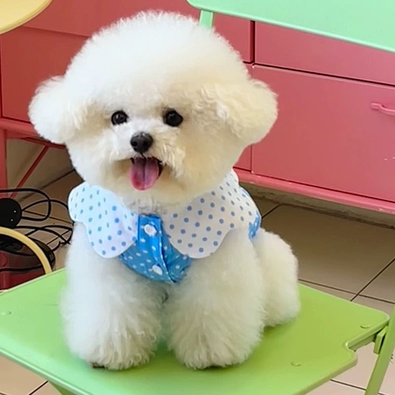 Autumn Bless Cotton Polka Dot Ruffle Blouse with Matching Hair Clip 