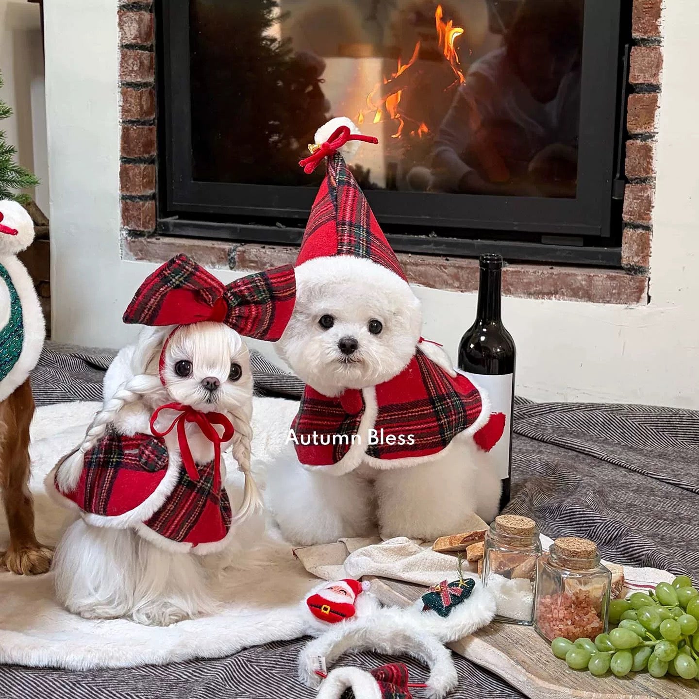 Autumn Bless MerryBerry Christmas Cape Set | MerryBerry Christmas Cape Set 