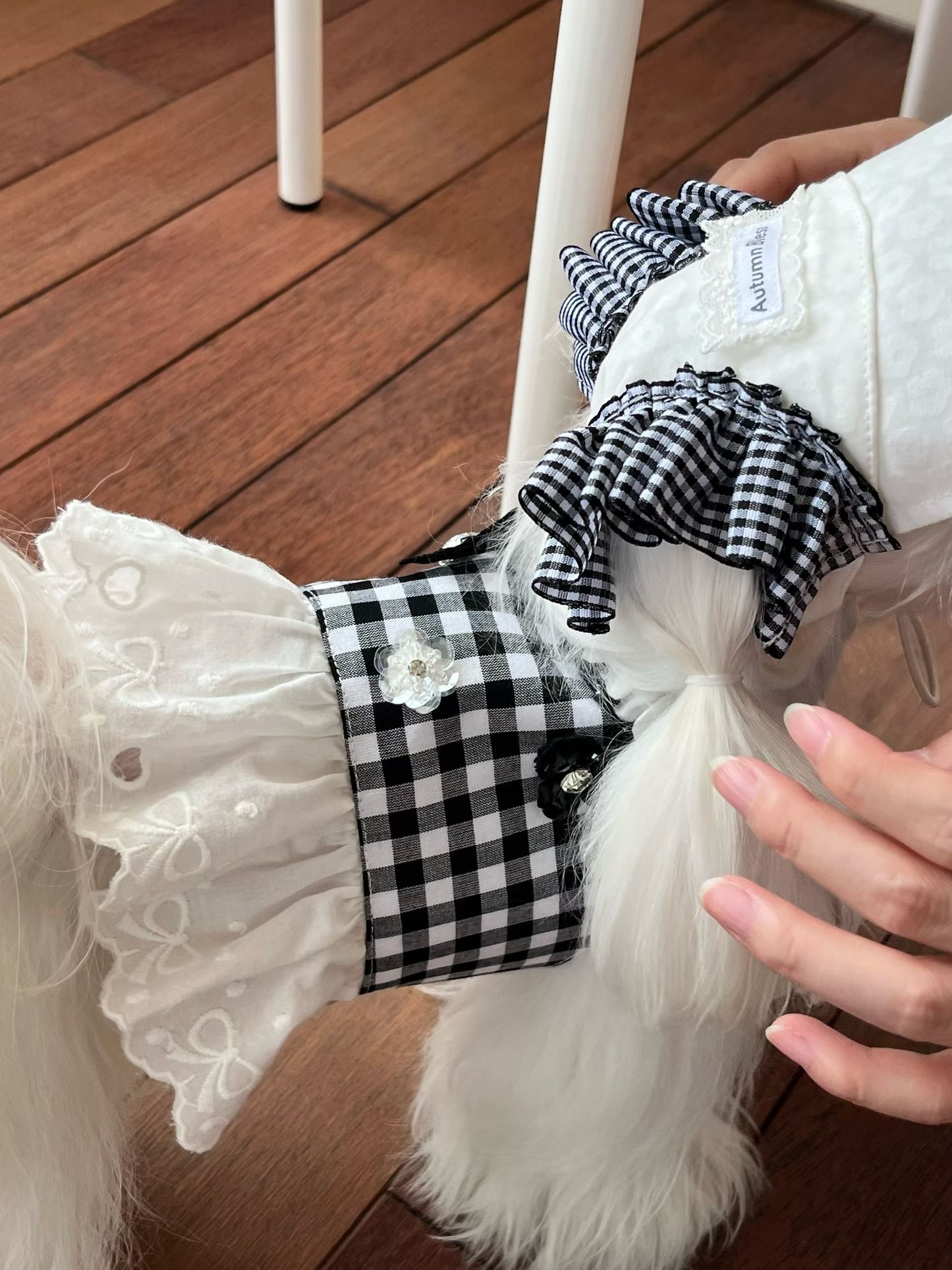 Autumn Bless Checkered Ribbon Cap &amp; Lace Leash