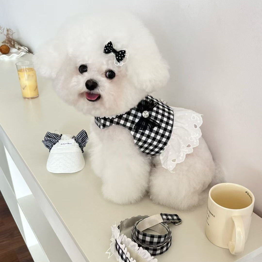 Autumn Bless Checkered Ribbon Cap &amp; Lace Leash