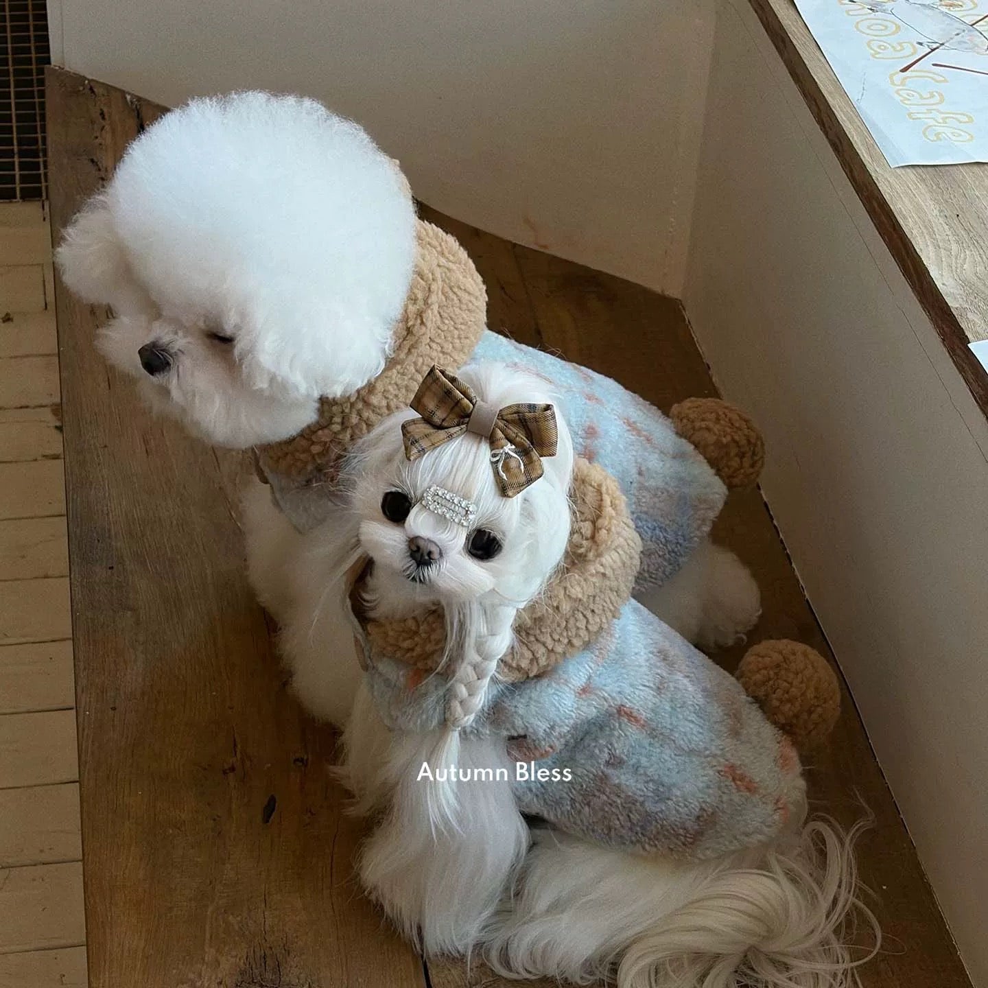 Autumn Bless Teddy Bear Sherpa Hoodie Coat