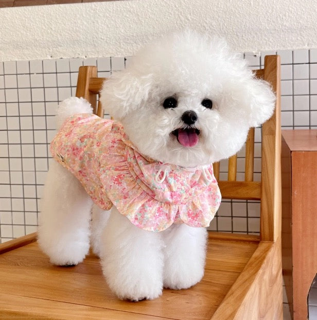 Autumn Bless Pastel Garden Windproof, Waterproof, and UV Coat | PetalShield Waterproof Floral Coat 