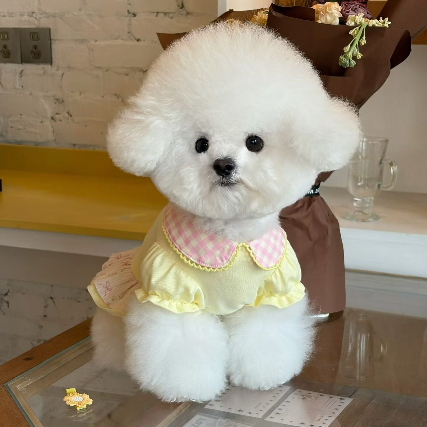 Autumn Bless Valentine Frill Collar Gingham Dress