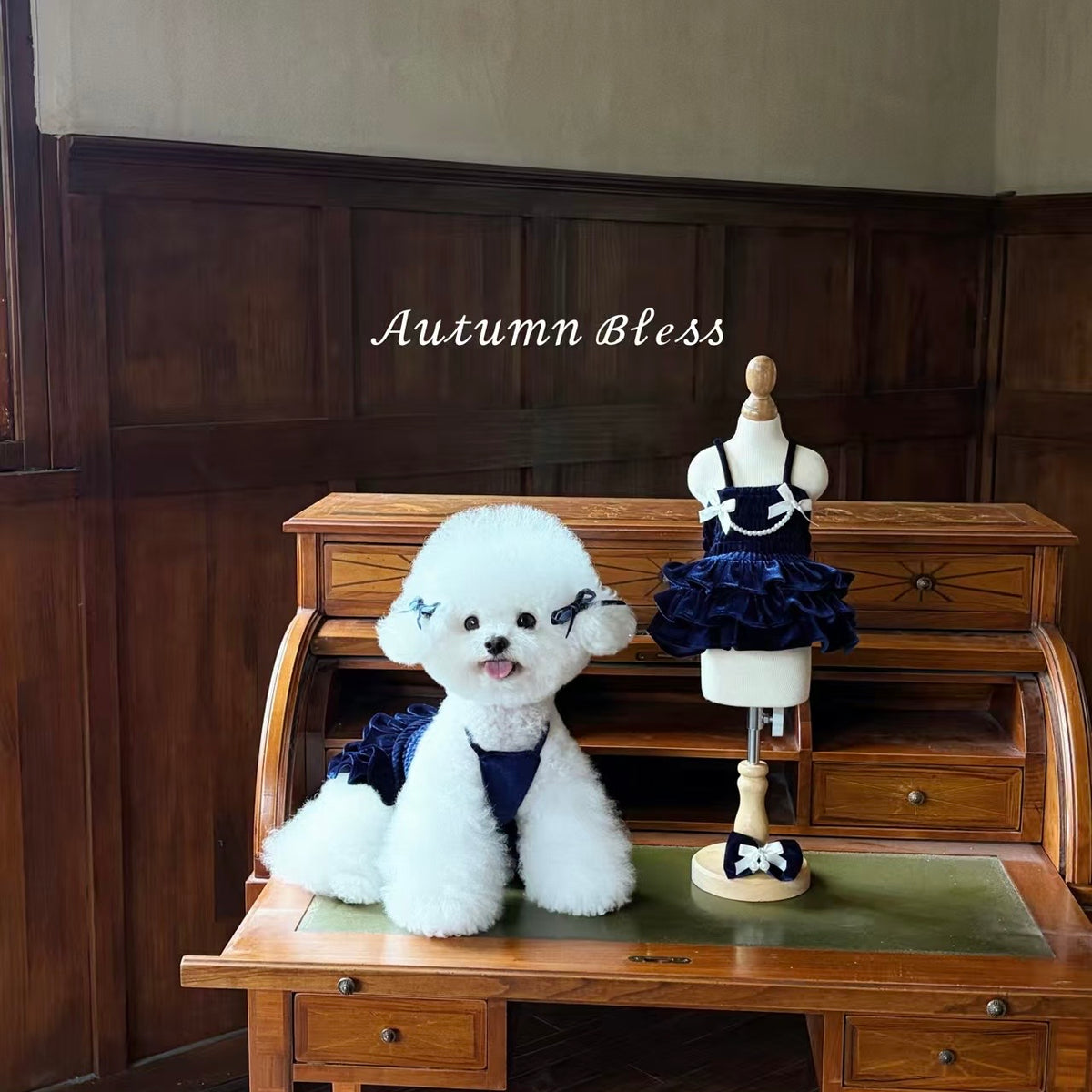 Autumn Bless Velour Pearl Ribbon Dress