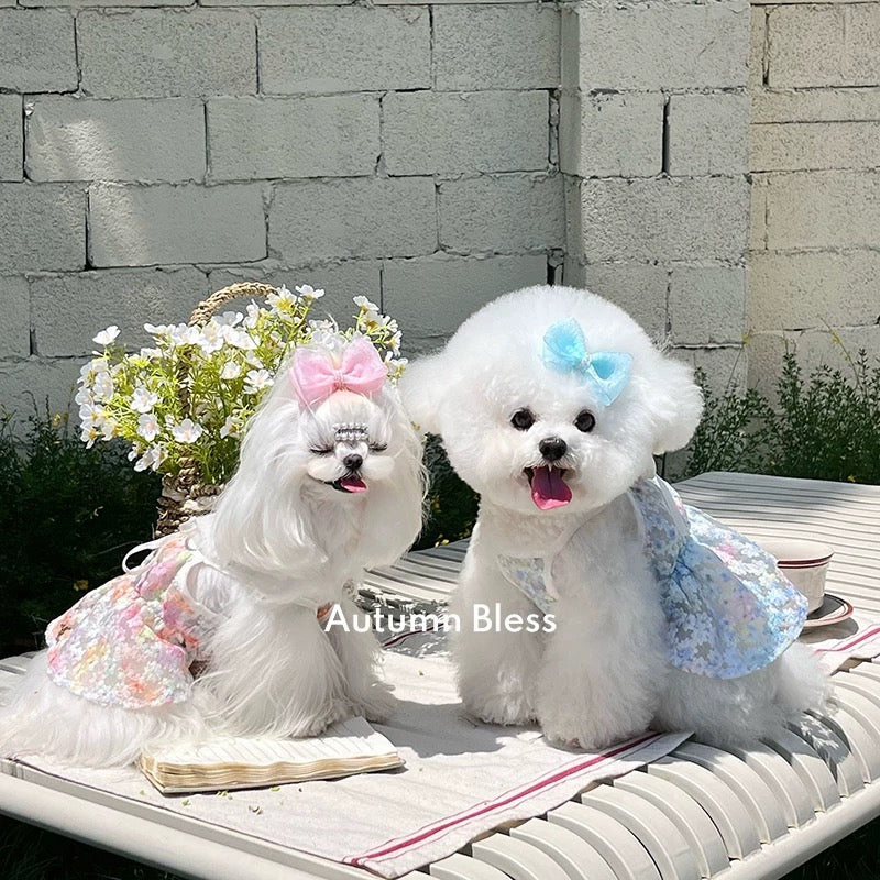 Autumn Bless Floral Lace Picnic Camisole Dress with Ribbon 