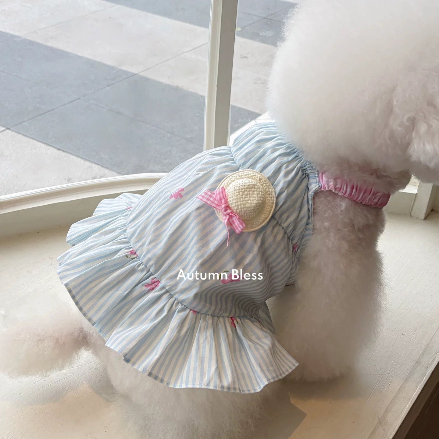 Autumn Bless Gingham Ribbon Lace Sun Hat
