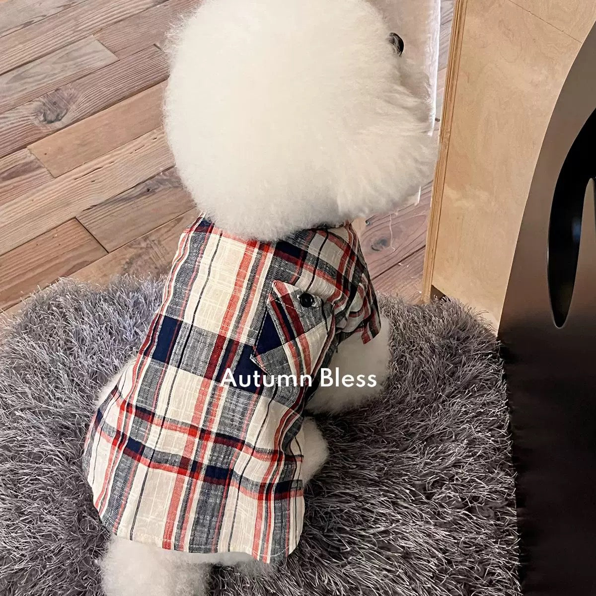 Autumn Bless Stylish cotton check shirt with tie | Cotton Check Shirt with Tie