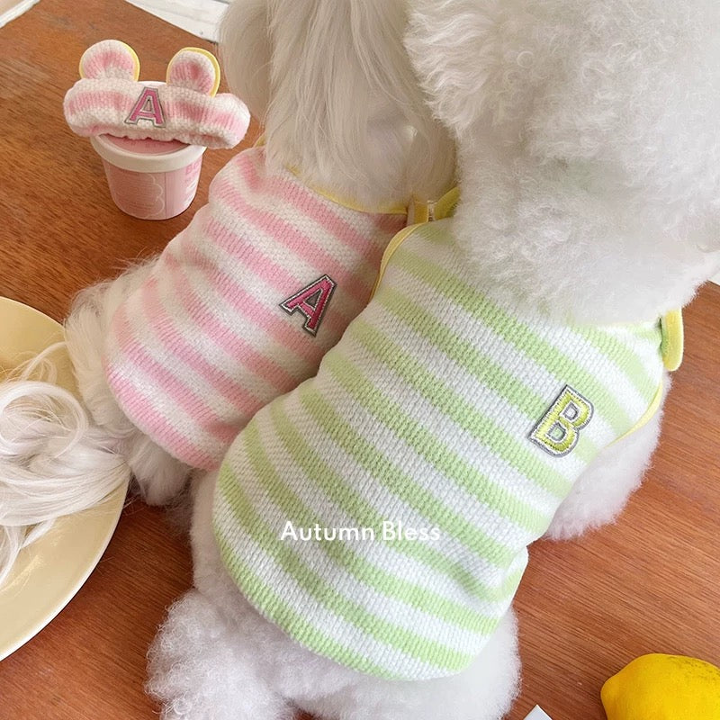 Autumn Bless Candy Button Knit Vest 