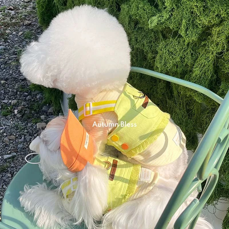 Autumn Bless Rainbow Twill Harness with Fringed Hem 