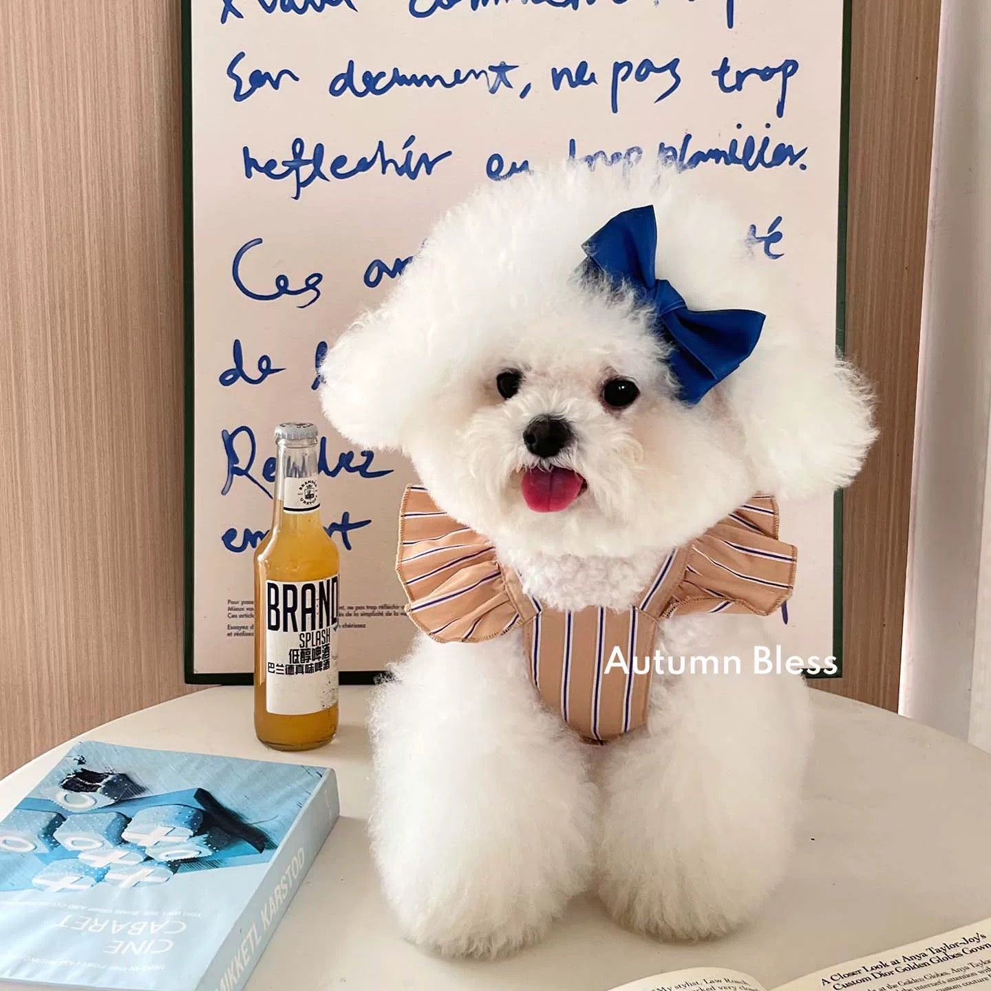 Autumn Bless Striped Ribbon Dress (Single or with Hair Clip Set)