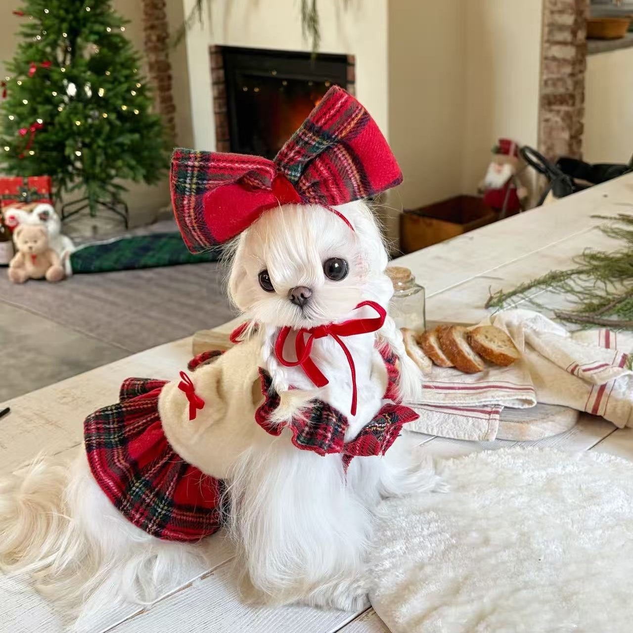 Autumn Bless Merry Berry Christmas Ensemble | MerryBerry Christmas Ensemble 