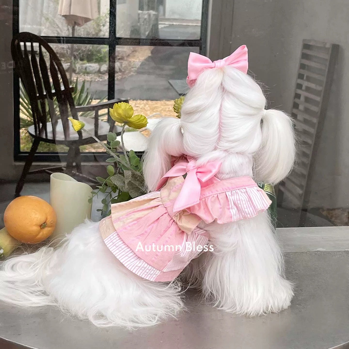 Autumn Bless Striped Ribbon Dress (Single or with Hair Clip Set)