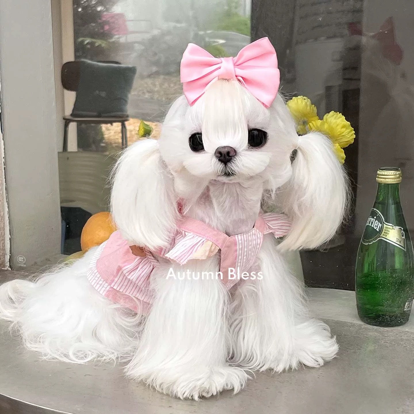 Autumn Bless Striped Ribbon Dress (Single or with Hair Clip Set)