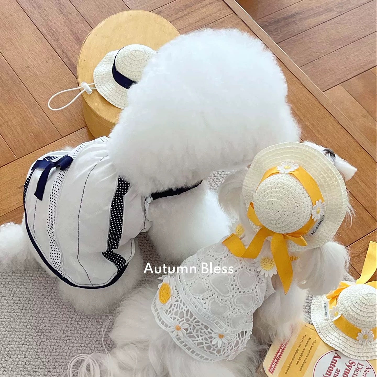 Autumn Bless Lemon Daisy &amp; Marine Picnic Dress