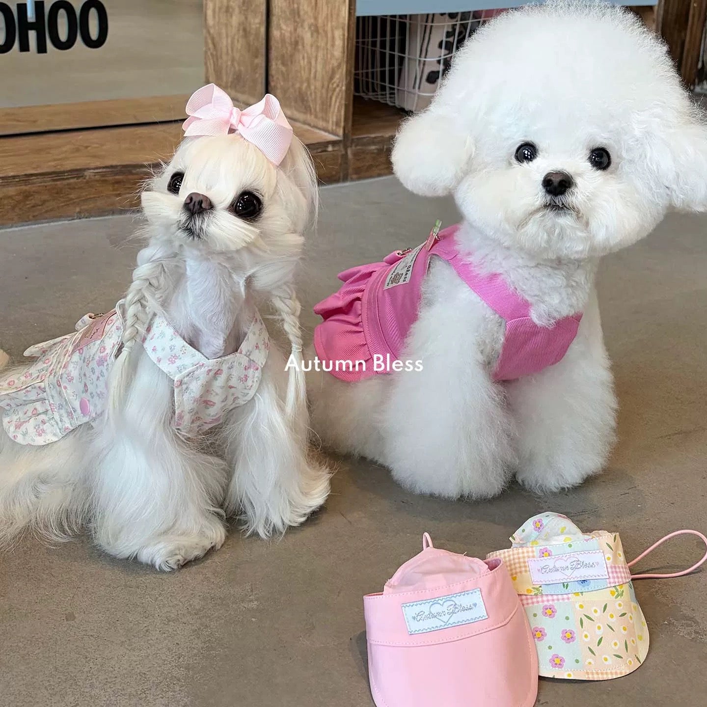 Autumn Bless Harness Dress | Back Zipper - Dog Wear for Small Dogs