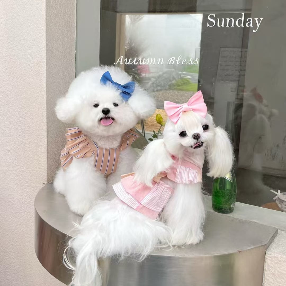 Autumn Bless Striped Ribbon Dress (Single or with Hair Clip Set)