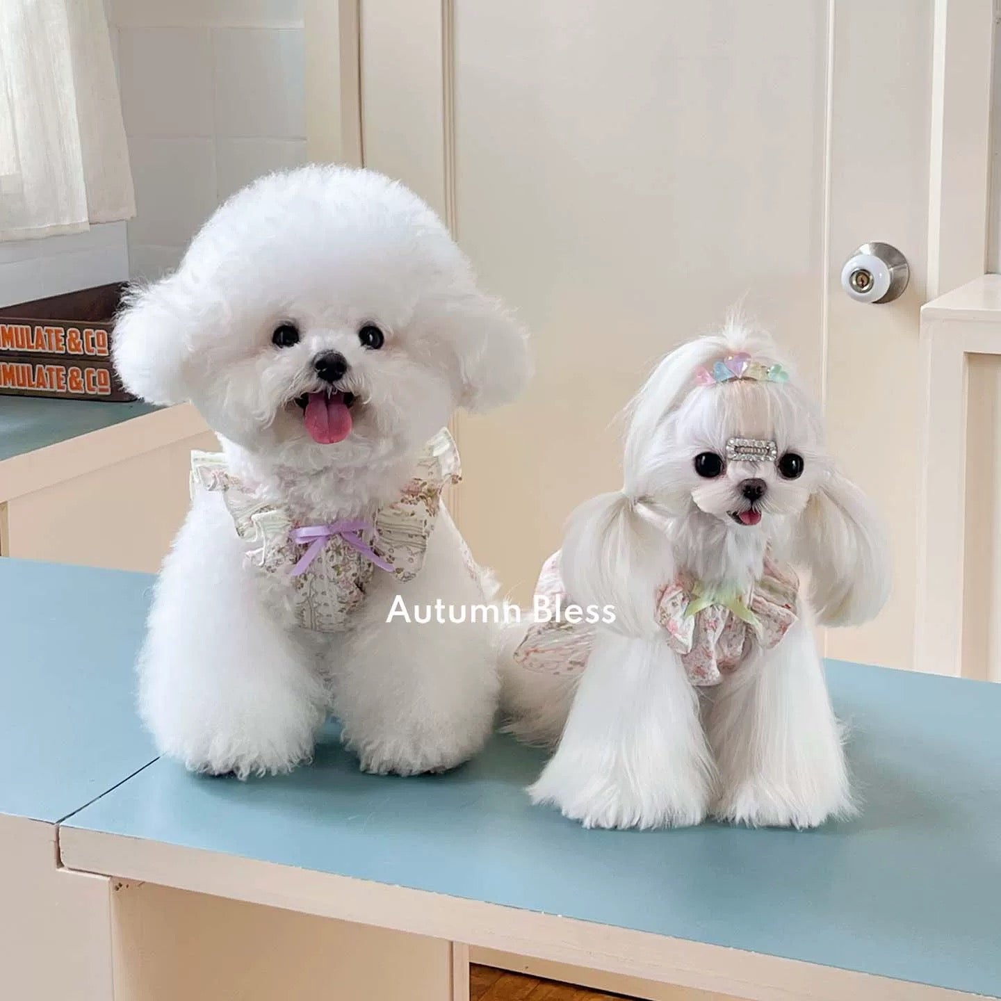 Autumn Bless [Limited Quantity] Country Floral Cotton Dress | Vintage Garden Floral Cotton Dress